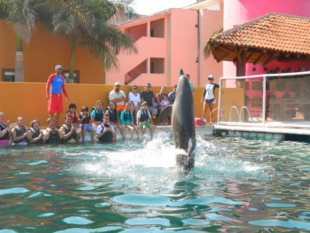 Disfruta en Familia