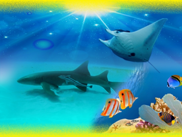 Acuario y tiburonario