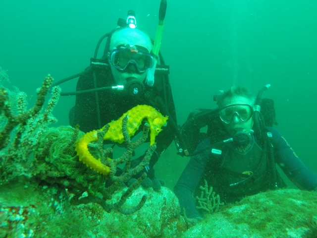 Nada con todos los animales