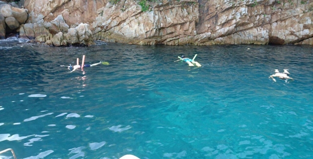 Descubriendo la fauna marina de Acapulco 
