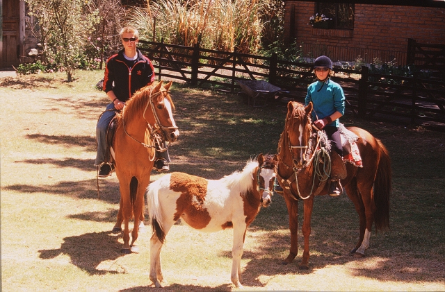 Disfruta de los caballos