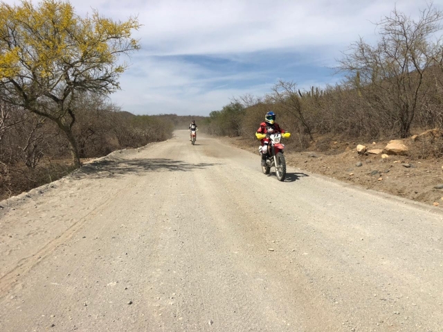 Visitas guiadas a la montaña