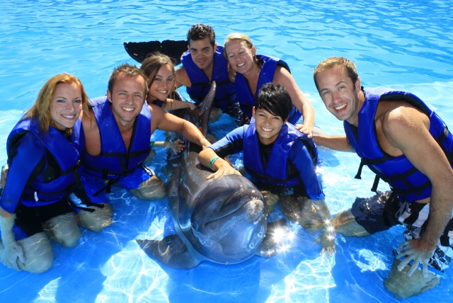 Diversion con delfines