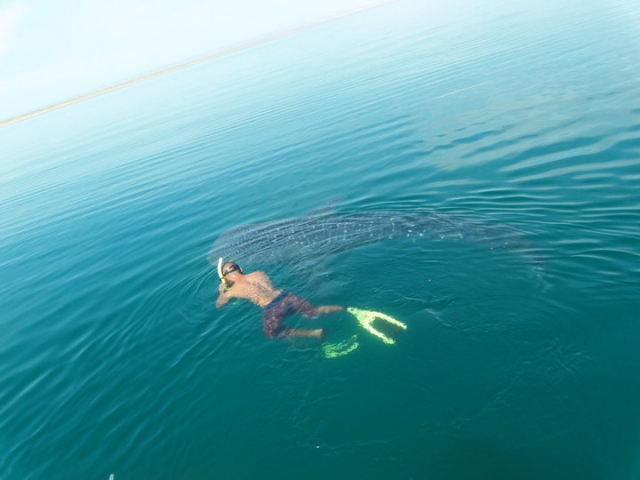 Espíritu & Baja Snorkel
