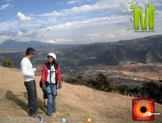 Monitor explica la actividad