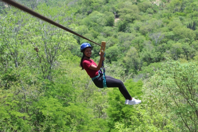 Bajando sobre los árboles