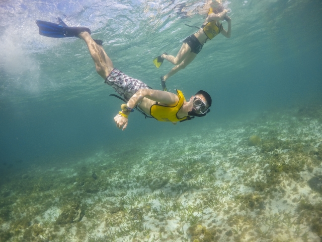 snorkel pastomarino