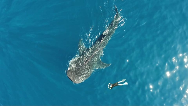 experiencias irrepetibles