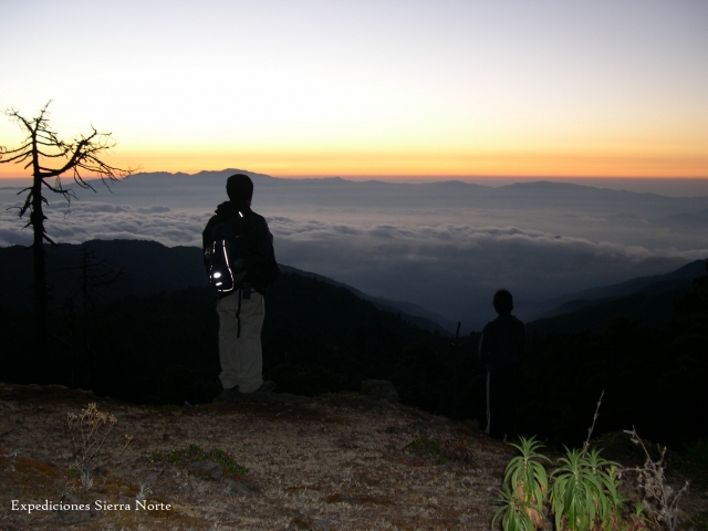 una parada en el camino