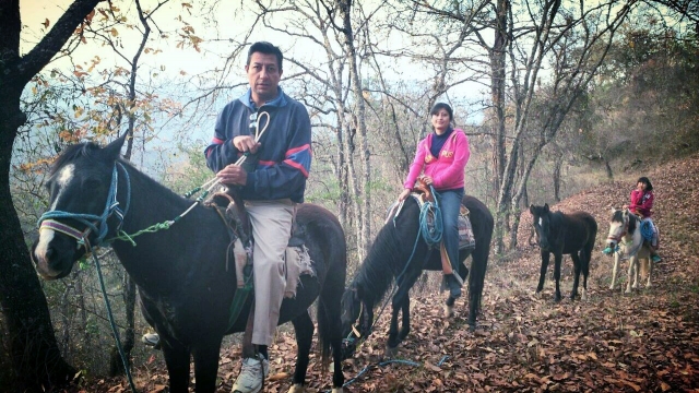 Recorrido a caballo