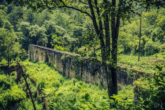 Amatlan verde