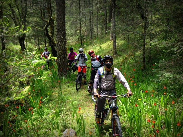 Ruta ciclismo