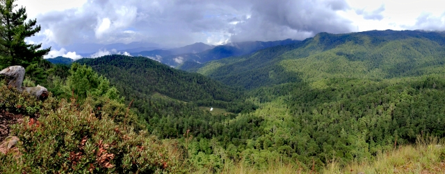 Conoce el lugar