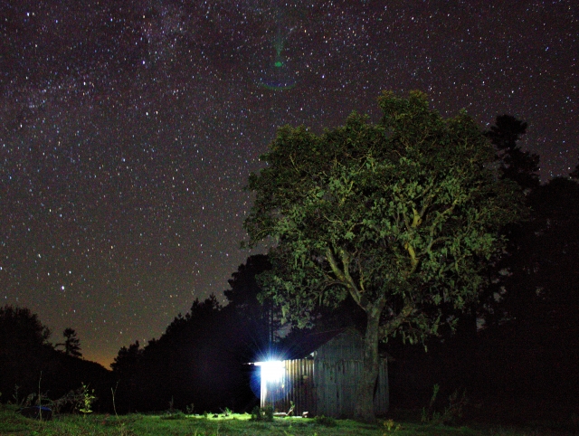 Espectaculo de noche