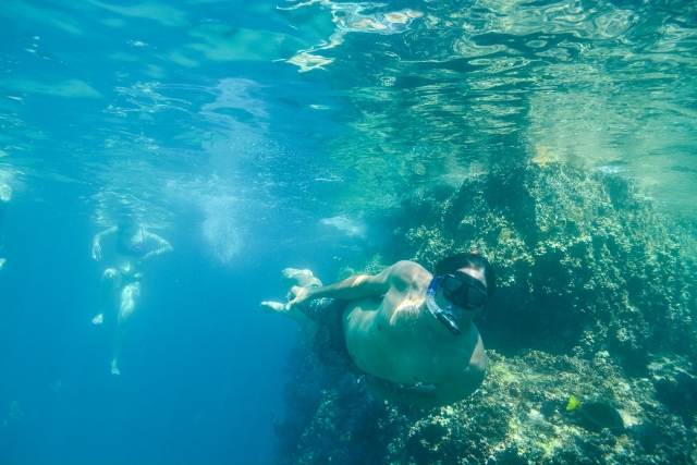 Excursion de Snorkel