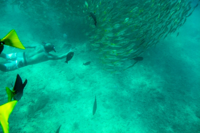 Snorkel Guia