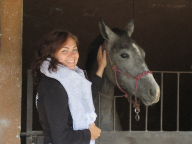 Conociendo al caballo
