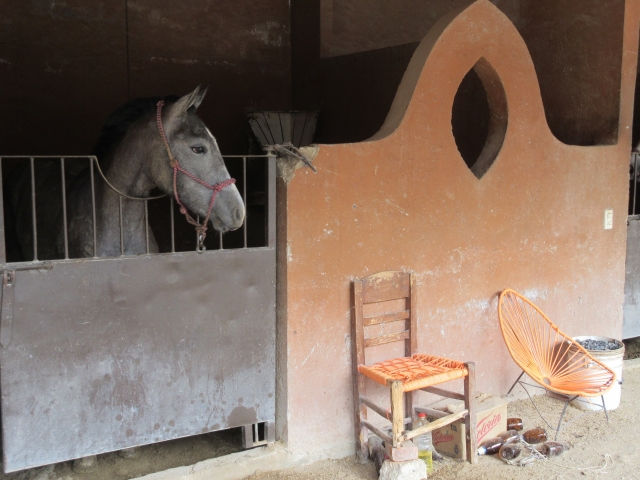 Caballerizas Tilzapotla