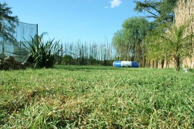 Jardin