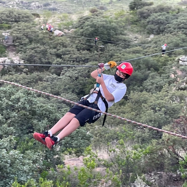 Volando sobre los árboles