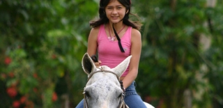 Sayulita Concierge 