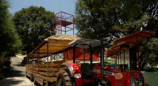 Trenecito en el parque