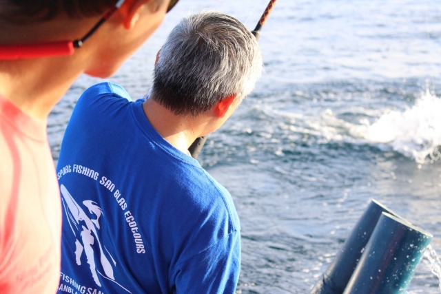 Con las instrucciones del monitor