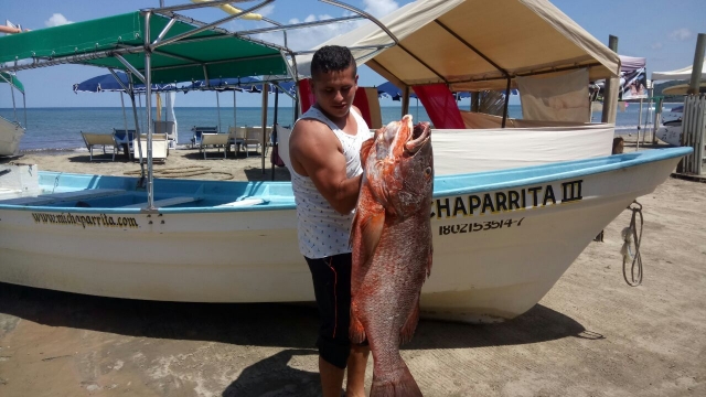 Pesca RMC