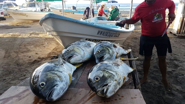 Pesca RMC