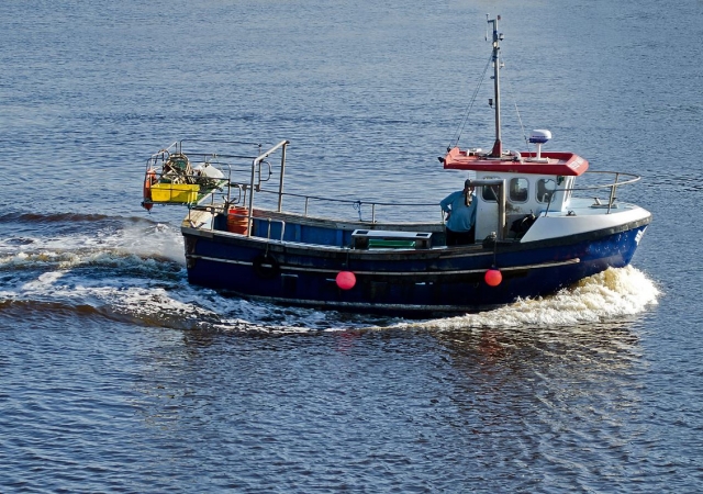 Barco pesquero