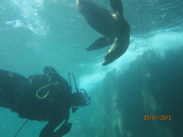 Buceo