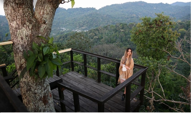 En el mirador