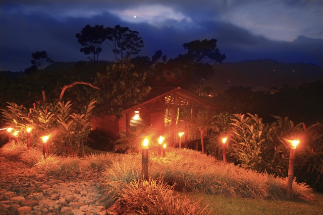 Visita nocturna