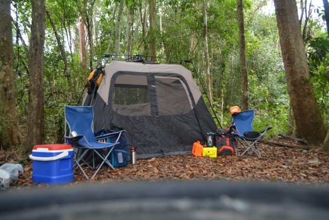 Camping en Selvas
