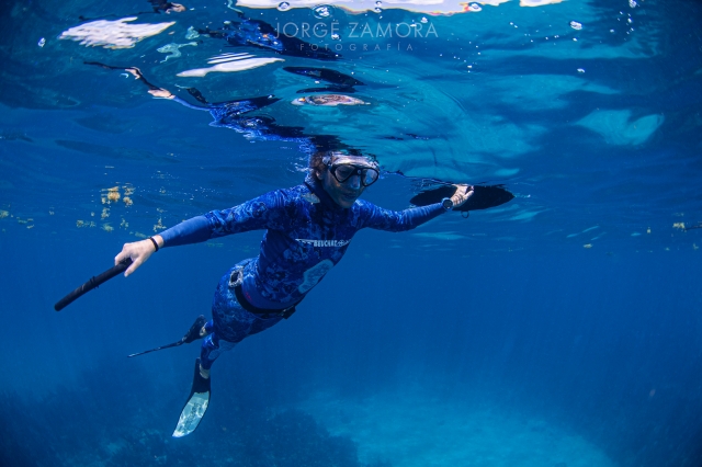 Cursos de apnea