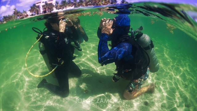 Cursos de buceo
