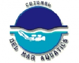 DelMar Aquatics