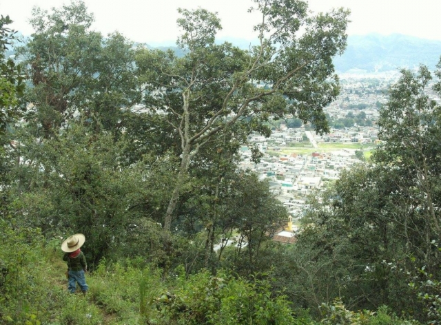Vistas del pueblo entre los arboles