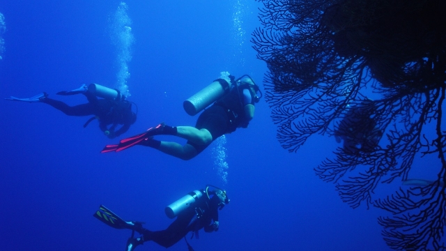 Buzos en arrecife