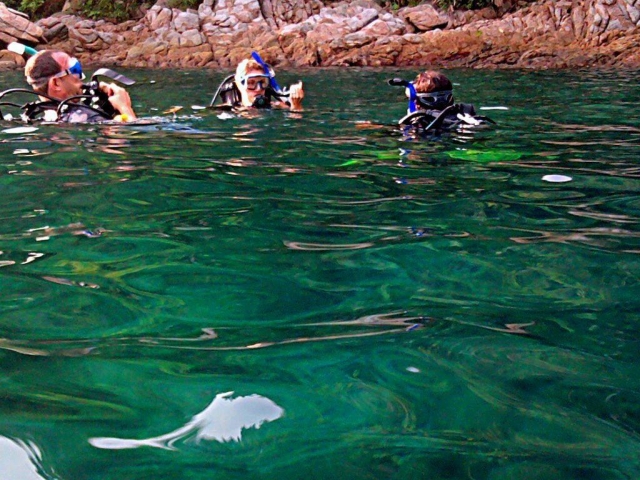 snorkel en aguas cristalinas