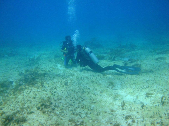 Buceo