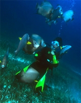 Disfruta bajo el agua