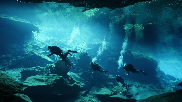 nadando en los mejore lugaternera