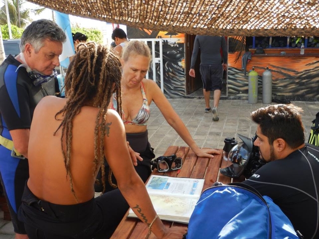 Con las instrucciones del monitor