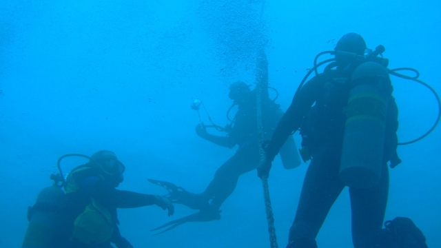 Fografiando en el buceo