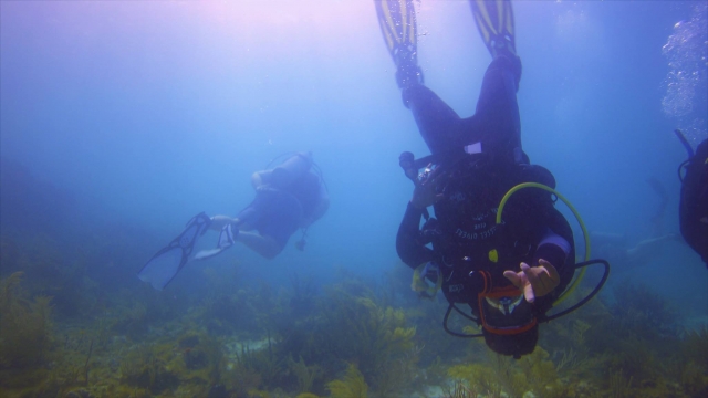 Bucea con tus amigos