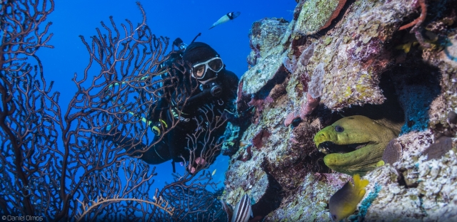 Descubre los tesoros marinos