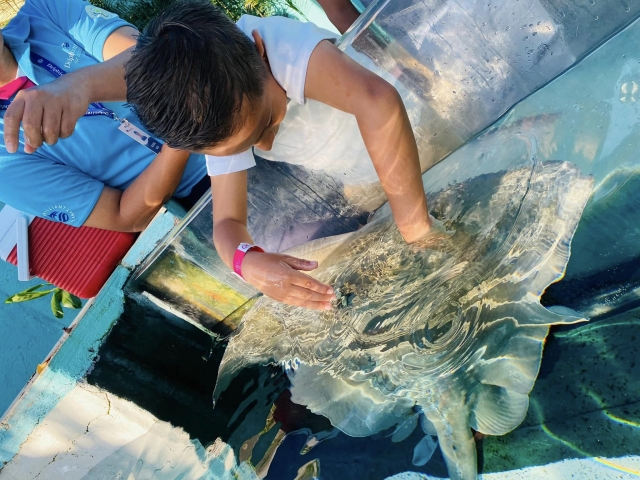 Interacción con rayas