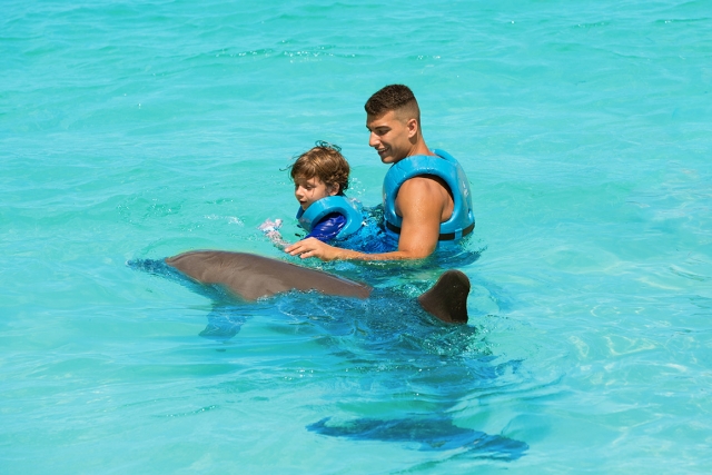 nado con delfines patata e hijo