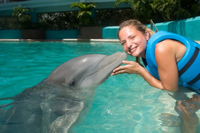 Beso de delfin